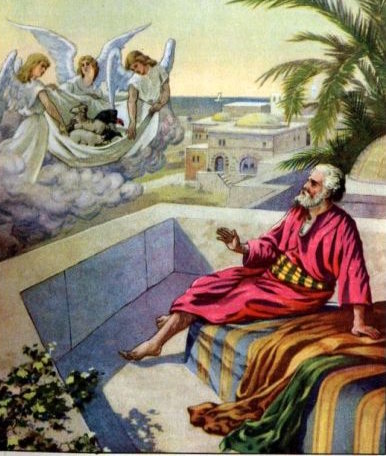 Peters vision at noon